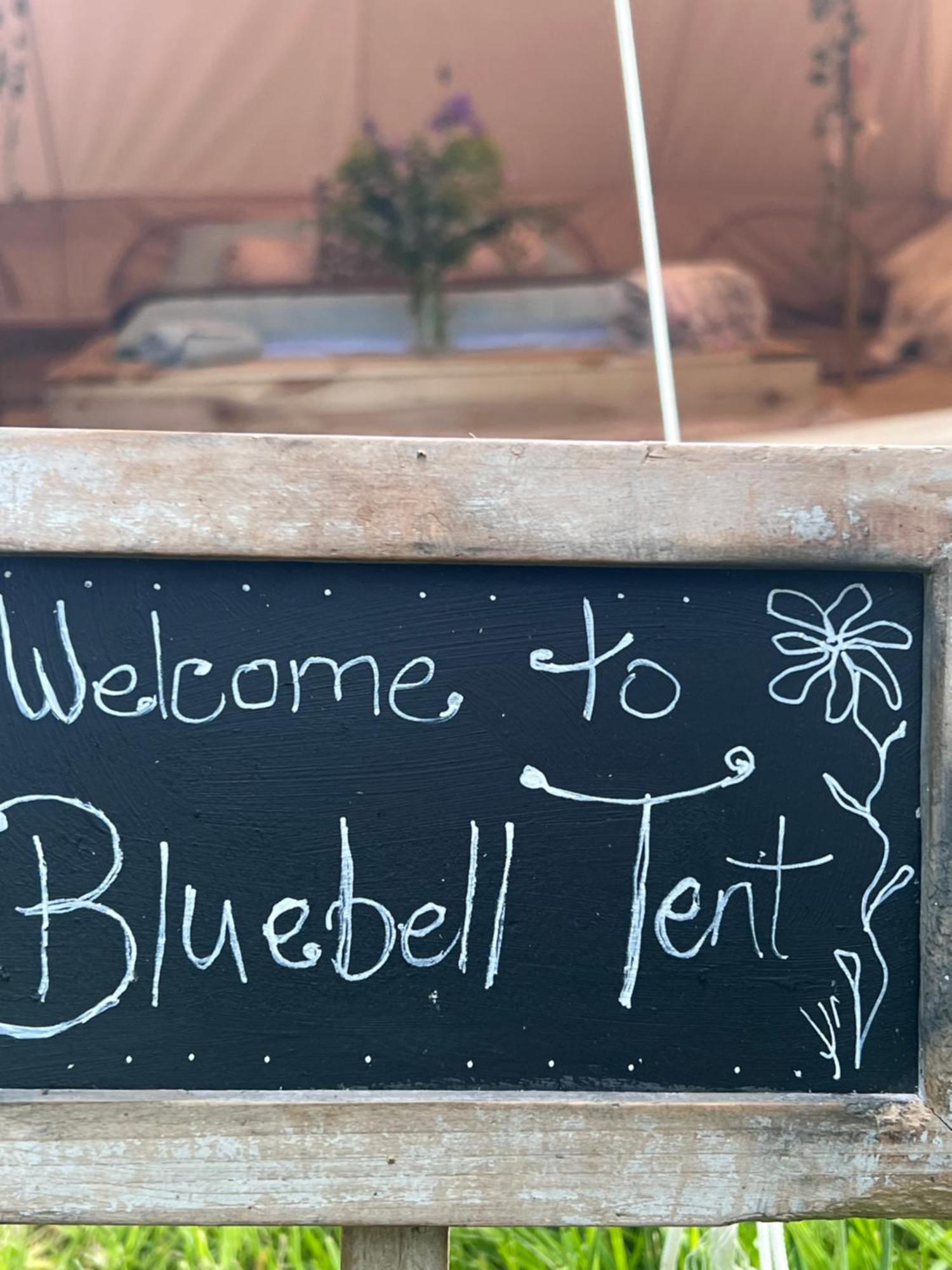 Bluebell Tent At Ballyward Croft Ardkeen Екстериор снимка